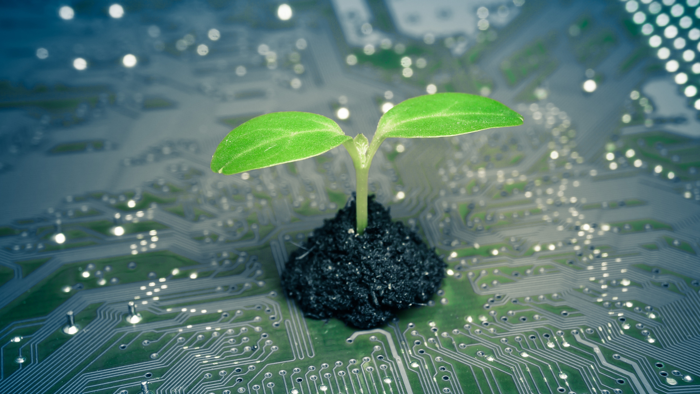Green IT dans le développement des logiciels – Ce qu’il faut savoir Green IT dans le développement des logiciels – Ce qu’il faut savoir