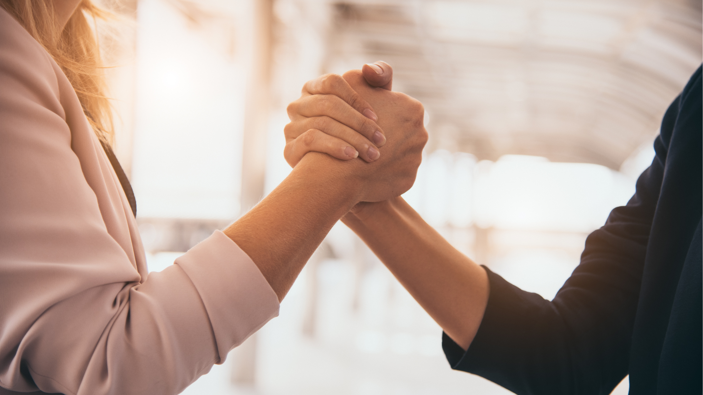 Devenir partenaire de Mr Suricate – les avantages Devenir partenaire de Mr Suricate – les avantages