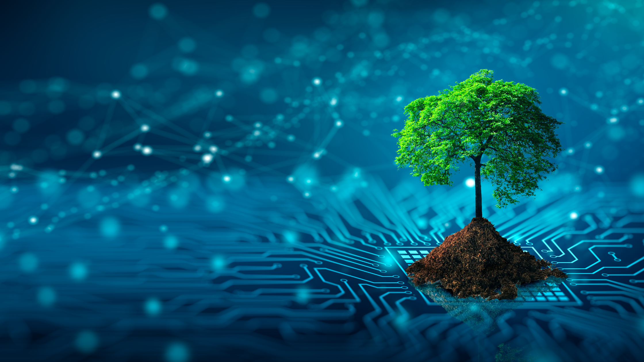 Green IT : Les meilleures solutions pour réduire l’empreinte écologique du numérique Green IT : Les meilleures solutions pour réduire l’empreinte écologique du numérique